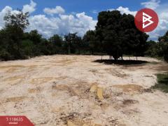 ขายที่ดิน เนื้อที่ 1 ไร่ 3 งาน 94.8 ตร.วา อุโมงค์ ลำพูน-202511061625591762421159455.jpg