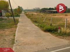 ขายที่ดิน เนื้อที่ 1 ไร่ 3 งาน 94.8 ตร.วา อุโมงค์ ลำพูน-202511061626001762421160007.jpg