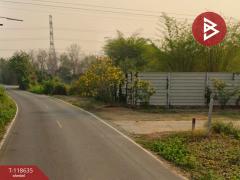 ขายที่ดิน เนื้อที่ 1 ไร่ 3 งาน 94.8 ตร.วา อุโมงค์ ลำพูน-202511061626001762421160549.jpg