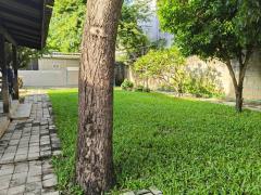 ขายที่ดินช้างม่อย(เชียงใหม่)-พร้อมอ