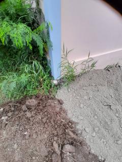 ขายที่ดินถมแล้ว มบ.เมืองเอกบางปู-202511062112581762438378218.jpg