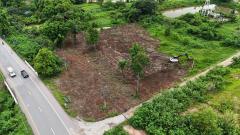 ขาย ที่ดินพะเยา ขายต่ำกว่าราคาประเมินธนาคาร 5 ล้าน ธนาคารประเมินให้ 10.7 ล้าน อยู่ใกล้เพียงแยกเกษตรสุข 350 ม. ติดถนน 2 ด้าน ต.แม่กา อ.เมืองพะเยา จ.พะเยา-202511062128351762439315204.jpg