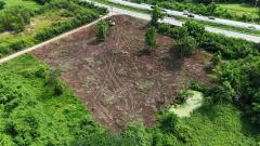 ขาย ที่ดินพะเยา ขายต่ำกว่าราคาประเมินธนาคาร 5 ล้าน ธนาคารประเมินให้ 10.7 ล้าน อยู่ใกล้เพียงแยกเกษตรสุข 350 ม. ติดถนน 2 ด้าน ต.แม่กา อ.เมืองพะเยา จ.พะเยา-202511062128351762439315701.jpg