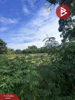 ขายที่ดิน เนื้อที่ 2 ไร่ นาหว้า นครพนม