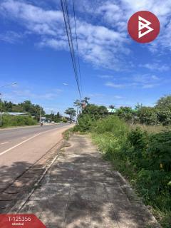 ขายที่ดิน เนื้อที่ 2 ไร่ นาหว้า นครพนม-202511070916311762481791110.jpg