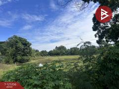 ขายที่ดิน เนื้อที่ 2 ไร่ นาหว้า นครพนม-202511070916311762481791656.jpg