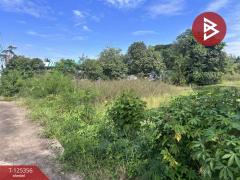 ขายที่ดิน เนื้อที่ 2 ไร่ นาหว้า นครพนม-202511070916321762481792194.jpg