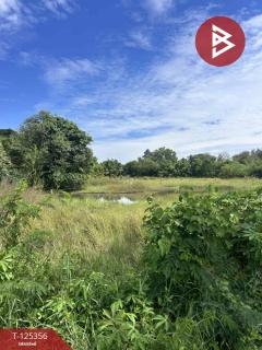 ขายที่ดิน เนื้อที่ 2 ไร่ นาหว้า นครพนม-202511070916321762481792743.jpg