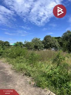 ขายที่ดิน เนื้อที่ 2 ไร่ นาหว้า นครพนม-202511070916331762481793271.jpg