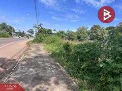 ขายที่ดิน เนื้อที่ 2 ไร่ นาหว้า นครพนม-202511070916331762481793807.jpg