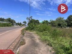 ขายที่ดิน เนื้อที่ 2 ไร่ นาหว้า นครพนม-202511070916341762481794347.jpg