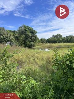 ขายที่ดิน เนื้อที่ 2 ไร่ นาหว้า นครพนม-202511070916341762481794882.jpg