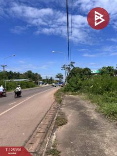 ขายที่ดิน เนื้อที่ 2 ไร่ นาหว้า นครพนม-202511070916351762481795426.jpg