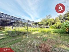 ขายที่ดิน-เนื้อที่-1-ไร่-1-งาน-35-ตร.วา-บ้