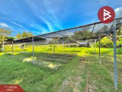 ขายที่ดิน เนื้อที่ 1 ไร่ 1 งาน 35 ตร.วา บ้านนา นครนายก-202511071122541762489374570.jpg