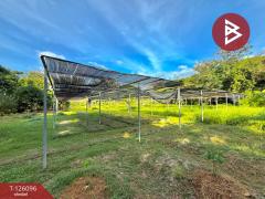 ขายที่ดิน เนื้อที่ 1 ไร่ 1 งาน 35 ตร.วา บ้านนา นครนายก-202511071122551762489375124.jpg