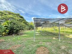 ขายที่ดิน เนื้อที่ 1 ไร่ 1 งาน 35 ตร.วา บ้านนา นครนายก-202511071122551762489375672.jpg