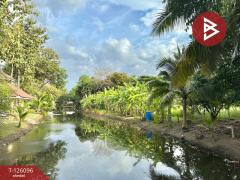 ขายที่ดิน เนื้อที่ 1 ไร่ 1 งาน 35 ตร.วา บ้านนา นครนายก-202511071122571762489377213.jpg