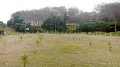 ขายที่ดินภูเก็ต 1-3-63.2 ไร่ ถนนหมายเลข 6014 ใกล้ โรงเรียนบ้านควน และโลตัสถลาง-202511071125151762489515084.jpg