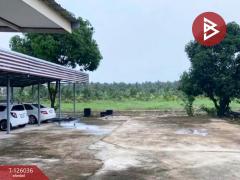 ขายบ้านเดี่ยวพร้อมที่ดิน เนื้อที่ 1 ไร่ 1 งาน บ้านโป่ง ราชบุรี-202511071153241762491204703.jpg