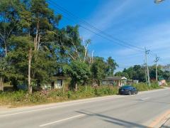 ขายที่ดินเชียงรายใกล้ (singhapark)