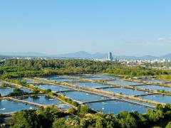 คอนโด PMY หาดแสงจันทร์-202511071316581762496218929.jpg