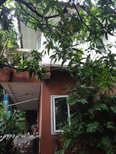 ขายบ้านเดี่ยว หมู่บ้านสินบดี 1 ต.พิมลราช อ.บางบัวทอง จ.นนทบุรี-202511071329131762496953725.jpg