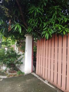 ขายบ้านเดี่ยว หมู่บ้านสินบดี 1 ต.พิมลราช อ.บางบัวทอง จ.นนทบุรี-202511071329151762496955166.jpg