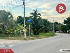 ขายบ้านแฝดชั้นเดียว เนื้อที่ 31.3 ตารางวา ตะเคียนเตี้ย ชลบุรี-202511071422121762500132545.jpg