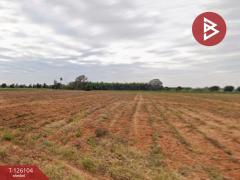 ขายที่ดิน เนื้อที่ 20 ไร่ 22 ตร.วา ต.ด่านเกวียน อ.โชคชัย นครราชสีมา