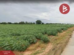 ขายที่ดิน เนื้อที่ 20 ไร่ 22 ตร.วา ต.ด่านเกวียน อ.โชคชัย นครราชสีมา-202511071502481762502568082.jpg