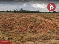 ขายที่ดิน เนื้อที่ 20 ไร่ 22 ตร.วา ต.ด่านเกวียน อ.โชคชัย นครราชสีมา-202511071502491762502569217.jpg