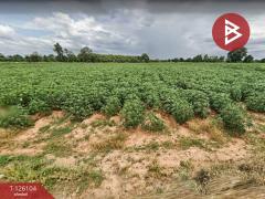 ขายที่ดิน เนื้อที่ 20 ไร่ 22 ตร.วา ต.ด่านเกวียน อ.โชคชัย นครราชสีมา-202511071502491762502569785.jpg