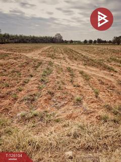 ขายที่ดิน เนื้อที่ 20 ไร่ 22 ตร.วา ต.ด่านเกวียน อ.โชคชัย นครราชสีมา-202511071502501762502570354.jpg