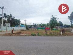 ขายที่ดิน-เนื้อที่-95-ตร.วา-บ้านยาง-นค