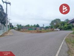 ขายที่ดิน เนื้อที่ 95 ตร.วา บ้านยาง นครปฐม-202511071525381762503938957.jpg