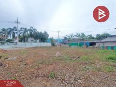 ขายที่ดิน เนื้อที่ 95 ตร.วา บ้านยาง นครปฐม-202511071525401762503940103.jpg