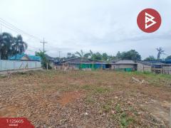 ขายที่ดิน เนื้อที่ 95 ตร.วา บ้านยาง นครปฐม-202511071525401762503940674.jpg