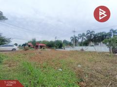 ขายที่ดิน เนื้อที่ 95 ตร.วา บ้านยาง นครปฐม-202511071525411762503941246.jpg