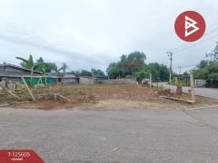 ขายที่ดิน เนื้อที่ 95 ตร.วา บ้านยาง นครปฐม-202511071525411762503941823.jpg