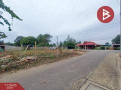 ขายที่ดิน เนื้อที่ 95 ตร.วา บ้านยาง นครปฐม-202511071525421762503942388.jpg