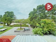 ขาย/เช่าทาวน์เฮ้าส์ หมู่บ้านพฤกษา95/2 ปิ่นเกล้า-วงแหวนฯ บางใหญ่ นนทบุรี-202511071613171762506797631.jpg