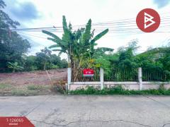 ขายที่ดินด่วน-เนื้อที่-1-ไร่-บางกร่า