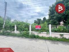 ขายที่ดินด่วน เนื้อที่ 1 ไร่ บางกร่าง นนทบุรี-202511071618361762507116843.jpg