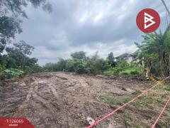 ขายที่ดินด่วน เนื้อที่ 1 ไร่ บางกร่าง นนทบุรี-202511071618381762507118453.jpg