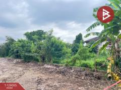 ขายที่ดินด่วน เนื้อที่ 1 ไร่ บางกร่าง นนทบุรี-202511071618391762507119356.jpg