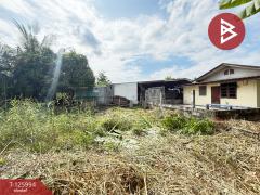 ขายบ้านเดี่ยวพร้อมที่ดิน เนื้อที่ 1 งาน 42 ตร.วา นครชัยศรี นครปฐม-202511071621241762507284690.jpg