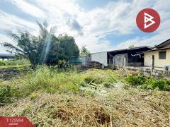 ขายบ้านเดี่ยวพร้อมที่ดิน เนื้อที่ 1 งาน 42 ตร.วา นครชัยศรี นครปฐม-202511071621251762507285240.jpg