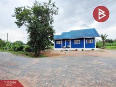 ขายบ้านเดี่ยวพร้อมที่ดิน เนื้อที่ 2 ไร่ 3 งาน 3.7 ตร.วา ปากท่อ ราชบุรี-202511071642461762508566968.jpg