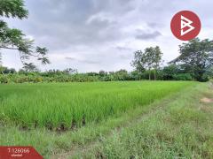 ขายบ้านเดี่ยวพร้อมที่ดิน เนื้อที่ 2 ไร่ 3 งาน 3.7 ตร.วา ปากท่อ ราชบุรี-202511071642511762508571207.jpg